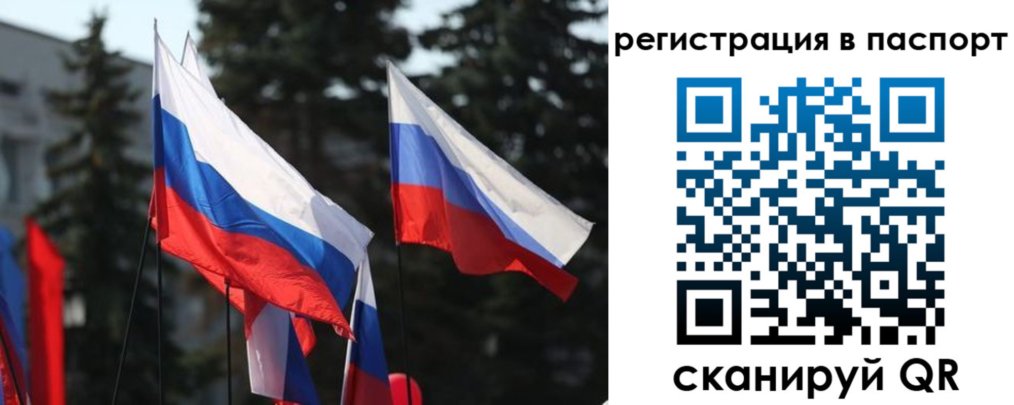 прописка штамп в Волгограде